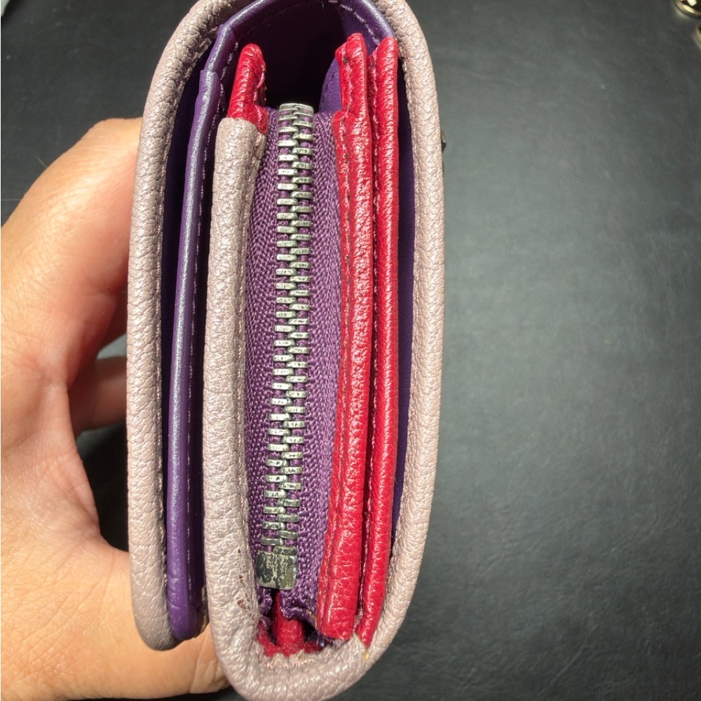 Loewe Amazona Wallet - Picture 5 of 16